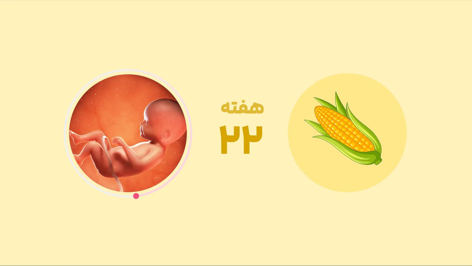 هفته بیست و دوم بارداری: هفته به هفته با مادر و جنینی سالم