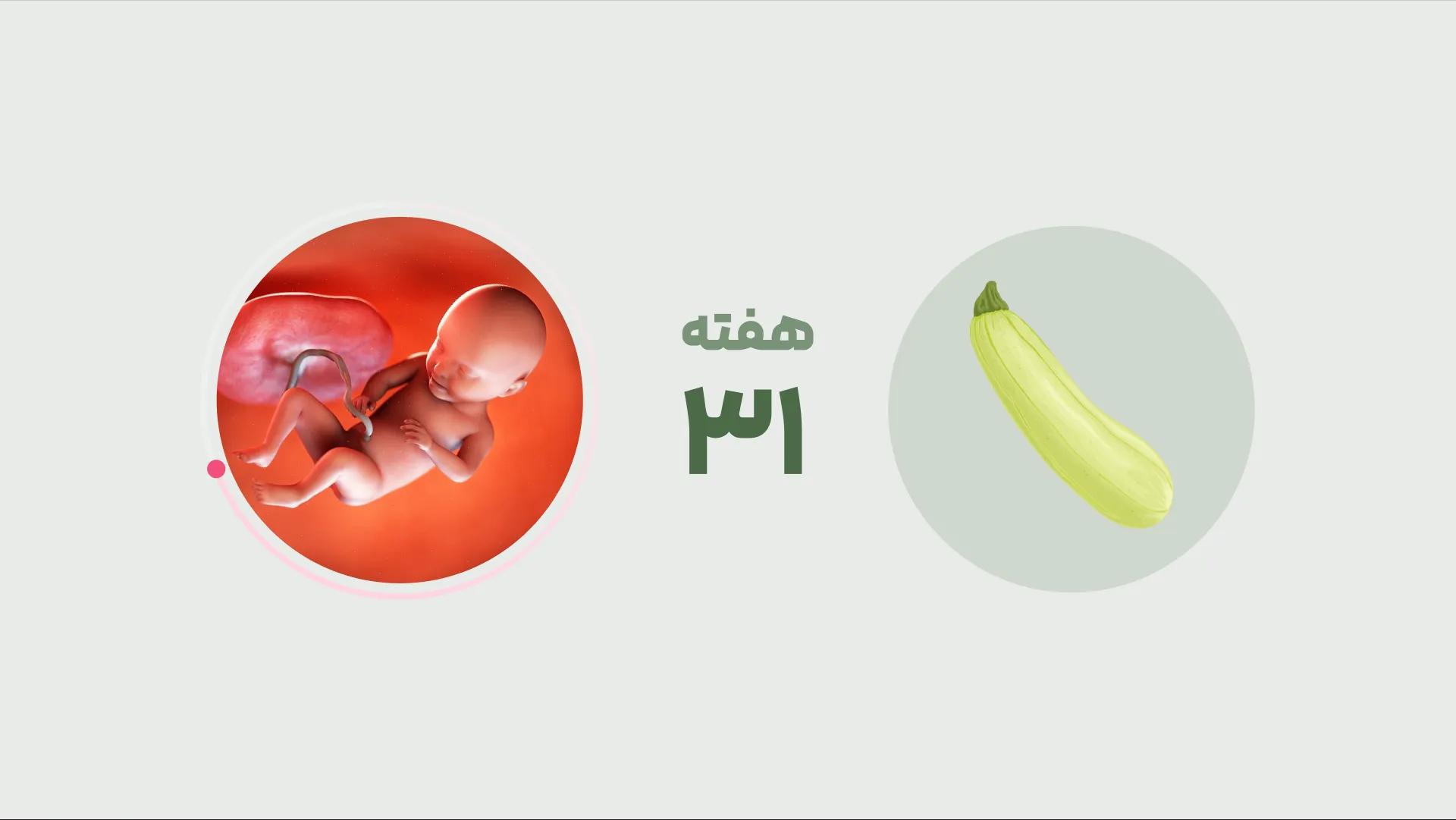 راهنمای جامع هفته 31 بارداری