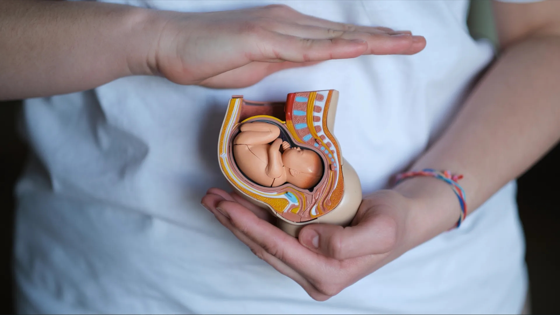 حرکات جنین از چند هفتگی احساس می‌شود؟بررسی  انواع و علائم هشدار حرکات جنین