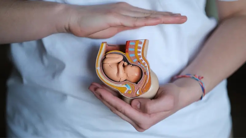 حرکات جنین از چند هفتگی احساس می‌شود؟بررسی  انواع و علائم هشدار حرکات جنین