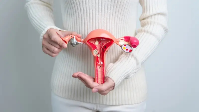 علائم تنبلی تخمدان چیست؟ علل و درمان تنبلی تخمدان در خانه