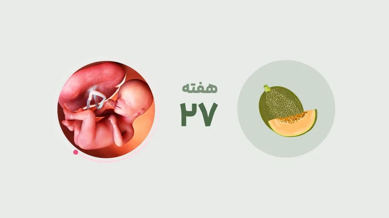 هفته ۲۷ بارداری (وضعیت جنین و علائم مادر)