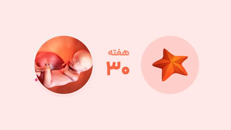 هفته سی‌ام بارداری: وضعیت جنین، تغییرات و علائم هشداردهنده