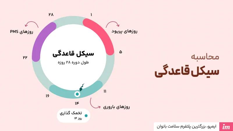 نحوه محاسبه سیکل قاعدگی