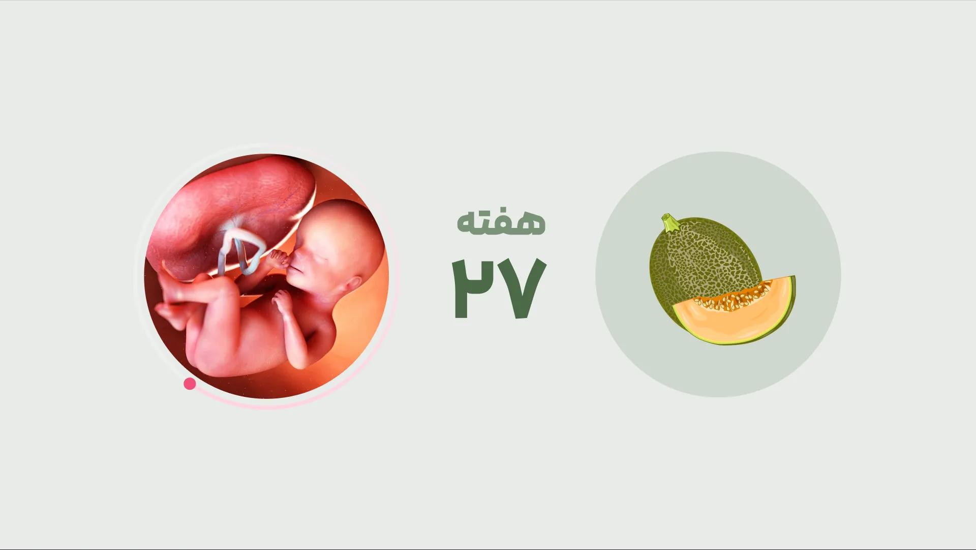 هفته ۲۷ بارداری (وضعیت جنین و علائم مادر)