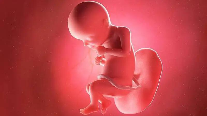 ماه هفتم بارداری