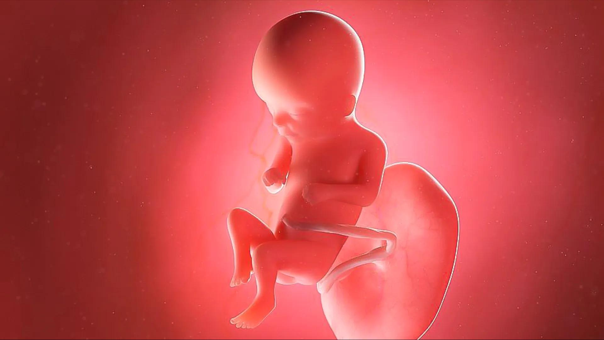 ماه سوم بارداری