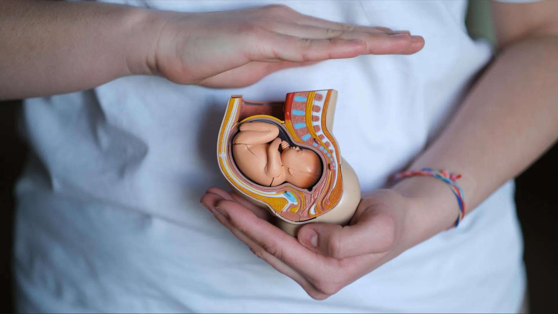 حرکات جنین از چند هفتگی احساس می‌شود؟بررسی  انواع و علائم هشدار حرکات جنین