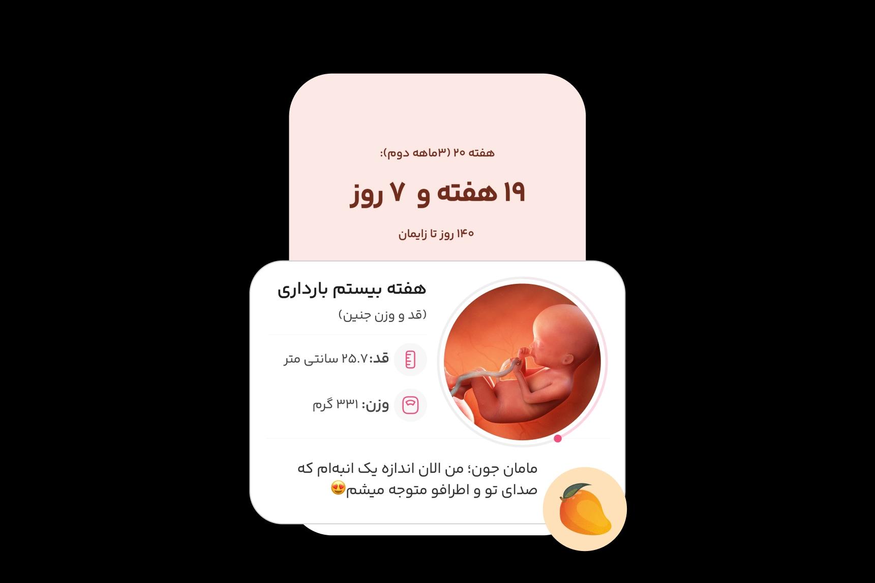 اطلاعات هفته به هفته جنین