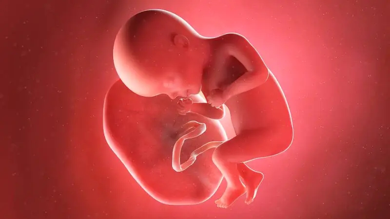 راهنمای کامل ماه ششم بارداری؛ تغییرات تا مراقبتهای لازم