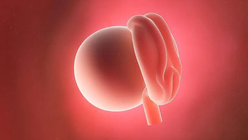 ماه اول بارداری