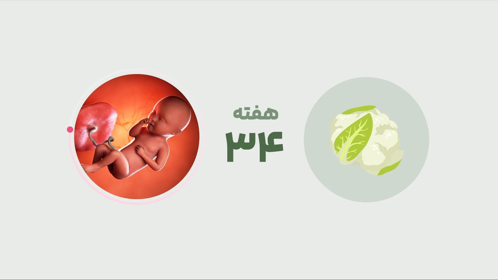 هفته ۳۴ بارداری