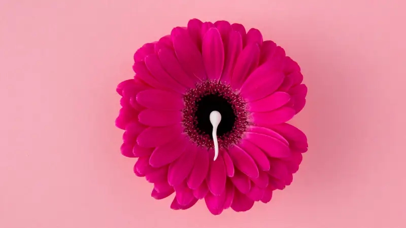 چند روز بعد از پریود احتمال بارداری وجود دارد؟