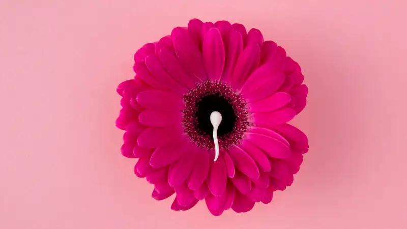 احتمال بارداری بعد از پریود