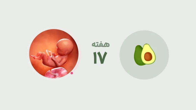 هفته هفدهم بارداری