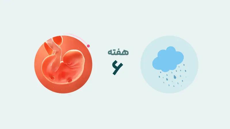 هفته ششم بارداری
